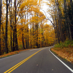 Fall driving in Georgia